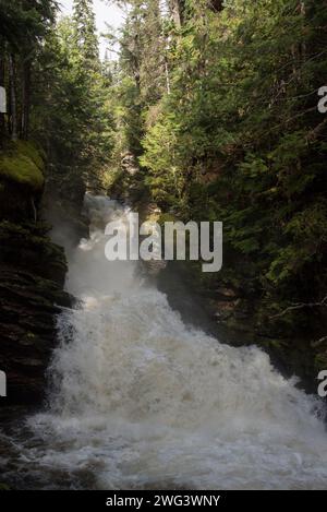 Le parc provincial Wells Gray est un grand parc sauvage situé à l'est du district régional de Cariboo en Colombie-Britannique au Canada. Banque D'Images