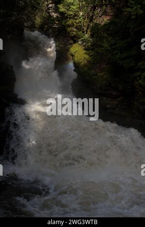 Le parc provincial Wells Gray est un grand parc sauvage situé à l'est du district régional de Cariboo en Colombie-Britannique au Canada. Banque D'Images