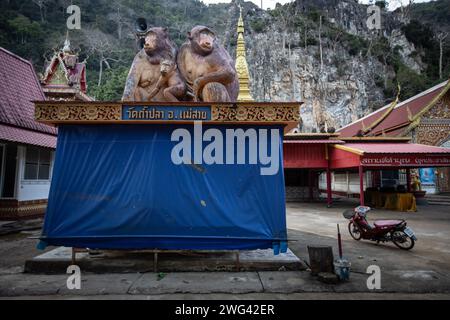 Mae Sai, Thaïlande. 17 janvier 2024. Sculpture de singes au temple Wat Tham Pla. Wat Tham Pla (Temple des poissons de la grotte) est également appelé le «Temple des singes» pour les habitants thaïlandais, situé à 16 kilomètres de Mae Sai, la ville la plus au nord de la Thaïlande. (Photo Guillaume Payen/SOPA Images/Sipa USA) crédit : SIPA USA/Alamy Live News Banque D'Images