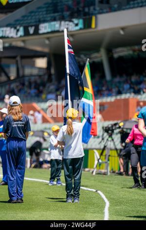 Adélaïde, Australie. 03 février 2024. Adélaïde, Australie, 3 février 2024 : le porte-drapeau australien fait la queue lors du premier match international One Day de la CommBank ODI International Series entre l'Australie et l'Afrique du Sud à l'Adelaide Oval à Adélaïde, Australie (Noe Llamas/SPP) crédit : SPP Sport Press photo. /Alamy Live News Banque D'Images