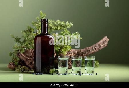 Gin en bouteille vintage sur un fond de vieux accrocs et branches de genévrier avec des baies. Placez votre étiquette sur la bouteille. Fond vert avec espace de copie Banque D'Images