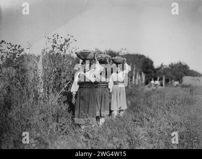 Harvest-San Juan, c1905. Trois femmes portant des paniers remplis de fruits(?) sur leurs têtes. Banque D'Images