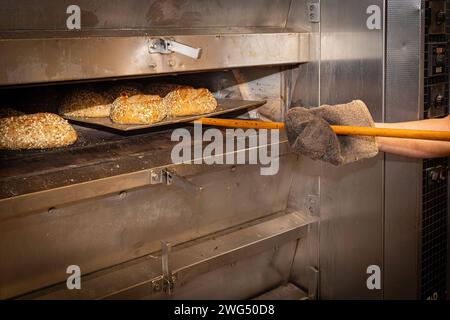 Deutschland 31. Janvier 2024 : In der Backstube eines Bäckers wird Landkreis Osnabrück Niedersachsen *** Allemagne 31 janvier 2024 dans la boulangerie d'un boulanger dans le district de Osnabrück Basse-Saxe Copyright : xFotostandx/xGelhotx Banque D'Images