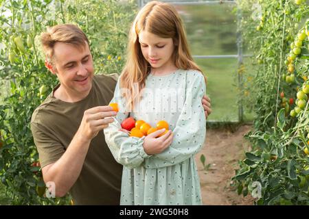 père et fille récoltent des légumes biologiques dans une serre. famille heureuse et joyeuse faisant du jardinage à la ferme. grosse récolte Banque D'Images