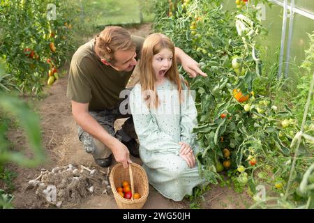 père et fille voient et récoltent des légumes biologiques dans une serre. famille heureuse et joyeuse faisant du jardinage à la ferme. grosse récolte Banque D'Images