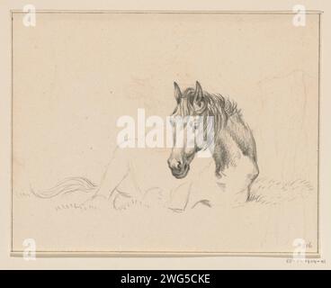 Cheval couché, Jean Bernard, 1816 dessin cheval couché, la tête a travaillé. papier. crayon. cheval de craie Banque D'Images