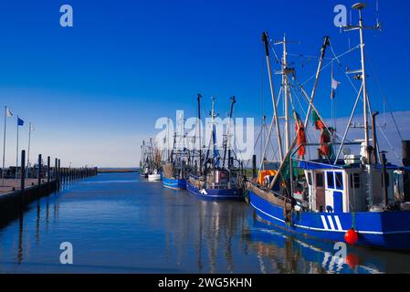 coupe-crabe coloré dans le port de dorum au ciel bleu ensoleillé Banque D'Images