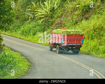 un vieux camion rouge rempli de bananes roule lentement le long d'une route dans la jungle du costa rica Banque D'Images