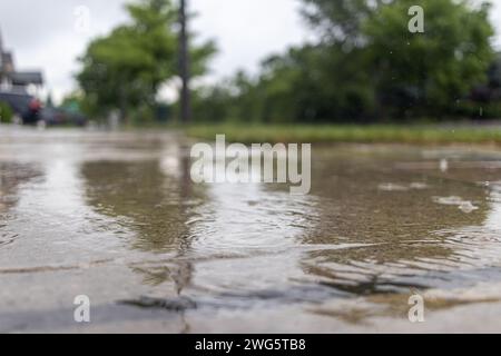 Ondulations des gouttes de pluie sur une surface humide - entouré de verdure et d'éléments urbains. Prise à Toronto, Canada. Banque D'Images