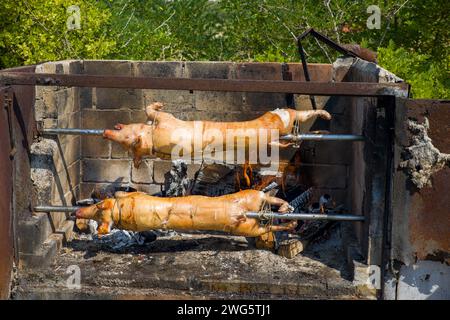 deux cochons de lait sur une broche sur un gril ouvert Banque D'Images