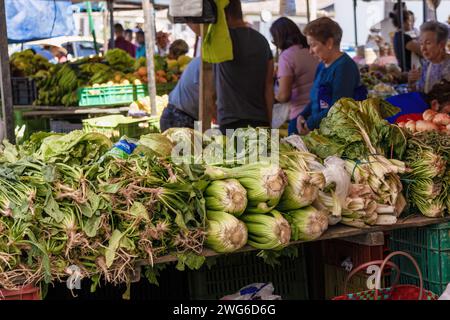 VILLA DE LEYVA, BOYACA, COLOMBIE - 06 janvier 2024 : un étal de légumes avec des tas d'épinards, de céleri et de blettes au marché traditionnel. Banque D'Images