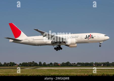 Boeing 777-200 de JAL Japan Airlines immatriculé JA705J en finale courte pour l'aéroport d'Amsterdam Schiphol Banque D'Images