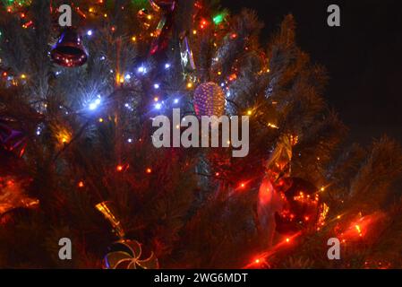 Bel arbre de Noël, pin naturel avec des ampoules LED rouges, bleues, vertes et jaunes, belles boules, jouets. Vacances du nouvel an, Noël et nouvel an. Banque D'Images