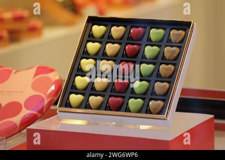 Chocolats belges en forme de coeur dans une boîte cadeau Banque D'Images