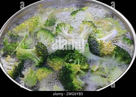 Gemüsepflanzen für die Küche BEARBEITET : in einem Topf mit kochendem Wasser wird Brokkoli blanchiert *** plantes végétales pour la cuisine le brocoli TRANSFORMÉ est blanchi dans une casserole d'eau bouillante Banque D'Images