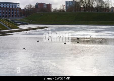 Étang de parc dans le centre de Klaipeda, Lituanie Banque D'Images