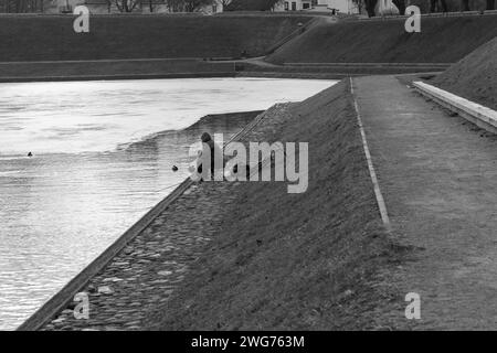 Vieux pêcheur dans un étang de parc dans le centre de Klaipeda, Lituanie Banque D'Images