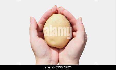 Gros plan des mains d'une agricultrice sur fond blanc montrant un tas de pommes de terre crues fraîches récoltées dans un jardin rural en ce moment. C Banque D'Images