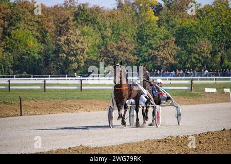 Courses hippiques attelées, race de trotteurs en mouvement Banque D'Images