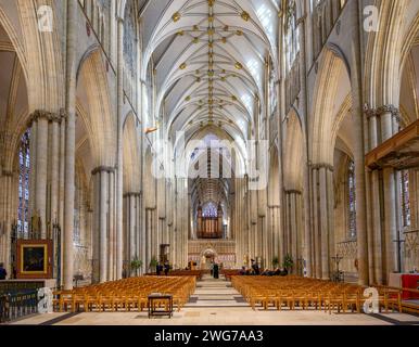 La nef de York Minster en direction de l'est, York Minster, York, Angleterre, Royaume-Uni Banque D'Images