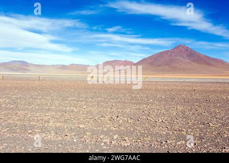 Le paysage dans le plateau d'Uyuni, Bolivie Banque D'Images