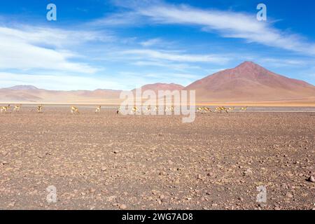 Le paysage dans le plateau d'Uyuni, Bolivie Banque D'Images