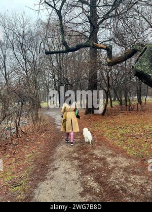 Femme marche avec son chien un jour gris à Prospect Park, Brooklyn, New York Banque D'Images