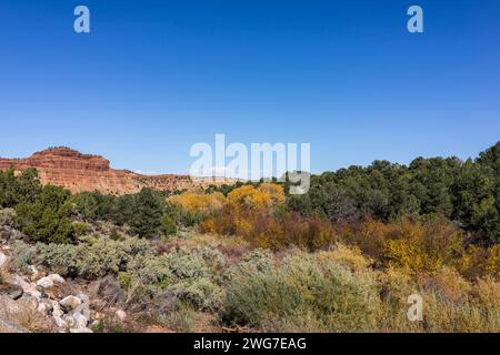 États-Unis. Utah. Comté de Wayne. Le long de la route panoramique 12 entre Torrey et Boulder. Banque D'Images