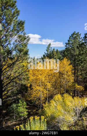 États-Unis. Utah. Comté de Wayne. Le long de la route panoramique 12 entre Torrey et Boulder. Banque D'Images