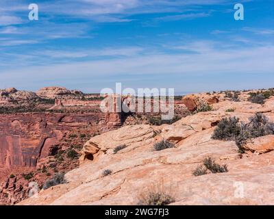 États-Unis. Utah. Parc national de Canyonlands. « Isle in the Sky » mesa : vue sur la tour des chandeliers. Ce point est situé sur le bord de l'appel mesa Banque D'Images