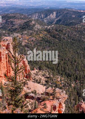 États-Unis, État de l'Utah. Comté de Garfield. Bryce Amphiteater. Le parc national de Bryce Canyon est une collection d'amphithéâtres naturels le long du côté est de Banque D'Images