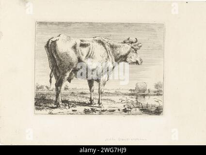 Vache debout, Pieter Gerardus van OS, 1798 imprimer pays-Bas papier gravure vache Banque D'Images