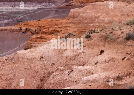 Des déosites colorés du Formaton de Chinle exposés au Little Painted Desert County Park près de Winslow, Arizona Banque D'Images