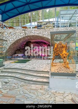 Grotte d'ours dans le Jura Krakowsko Czestochowska. Pologne Banque D'Images