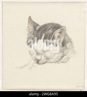 Kop van un chat, de face, Jean Bernard, 1828 papier à dessin. chat craie Banque D'Images
