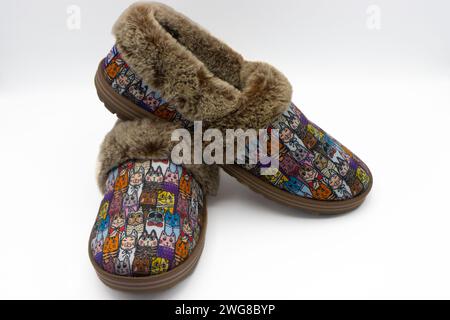 Chaussons de maison mignons pour femmes avec motif chats Banque D'Images