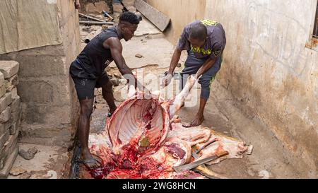 Maison musulmane sacrifice vache Accra Eid al Adha Festival du sacrifice. Sacrifice animal Islam mois sacré du Ramadan Eid ul Adha. Secteur musulman d'Accra. Banque D'Images