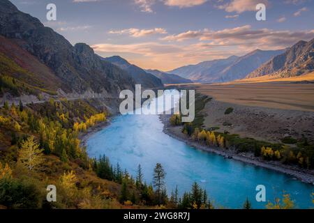 L'eau bleue de la rivière Katun, les arbres d'automne, dans la vallée de montagne des montagnes de l'Altaï en Sibérie, Russie, pendant le coucher de soleil incroyable. Banque D'Images