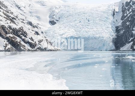 Glacier Beloit Tidewater à Blackstone Bay, Prince William Sound, Alaska, États-Unis Banque D'Images