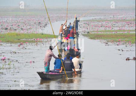 Sylhet, Bangladesh. 03 février 2024. Les visiteurs profitent d'une promenade en bateau dans la matinée brumeuse d'hiver à Jaintapur upazila Dibir Haor de Sylhet, Bangladesh. Dibir Haor est connu comme le Royaume de Shapla (nénuphars rouges) pour les voyageurs. Ici, au début de la saison hivernale, de nombreuses fleurs de nénuphars rouges (Shapla) ont fleuri dans ce Haor qui se trouve au bord des collines de Meghalaya. Le 03 février 2024 Sylhet, Bangladesh (photo de MD Rafayat Haque Khan/Eyepix Group/Sipa USA) crédit : SIPA USA/Alamy Live News Banque D'Images