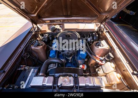 Dandenong, Australie. 3 février 2024. Salon automobile au Penrith Oil / Grove Racing Livery Reveal. Crédit : James Forrester/Alamy Live News Banque D'Images