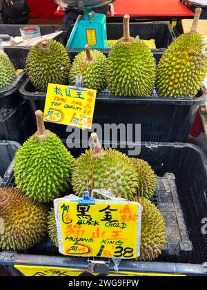 Singapour, le 26 janvier 2024. Chinatown, la célèbre attraction touristique de Singapour. Un marché de rue avec étal vendant des durians. Banque D'Images