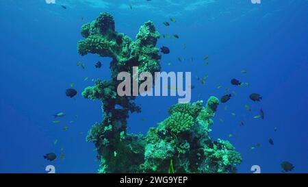 Silhouette de corail formation d'une forme bizarre inhabituelle sur les fonds marins, Mer Rouge, Safaga, Egypte Banque D'Images