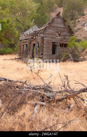 Homestead abandonnés le long du ruisseau Champs Billy, Grant County, Oregon Banque D'Images