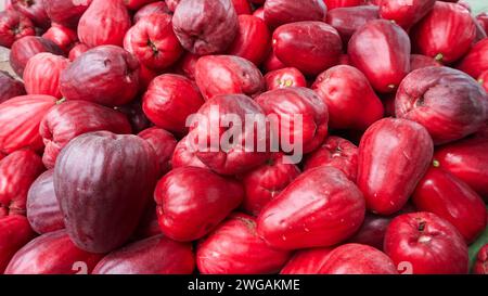 Fruit de goyave rouge jamaïcain frais qui vient d'être récolté Banque D'Images