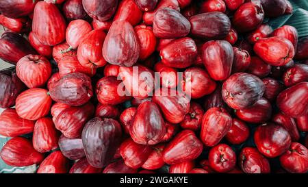 Fruit de goyave rouge jamaïcain frais qui vient d'être récolté Banque D'Images