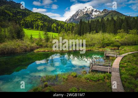 Un des plus pittoresques petits lacs de montagne turquoise de Slovénie. Pont en bois et passerelle près du lac Zelenci, il est la source de la Sava Dolin Banque D'Images
