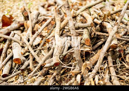 Arrière-plan plein format. Pile de bois de chauffage devant la ferme à utiliser pour faire un feu de joie. Banque D'Images