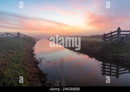 Une nuit froide crée de la brume au-dessus du fossé et de la prairie dans la réserve naturelle. Pour couronner le tout, il y avait encore une seule toile d'araignée parmi les roseaux. Banque D'Images