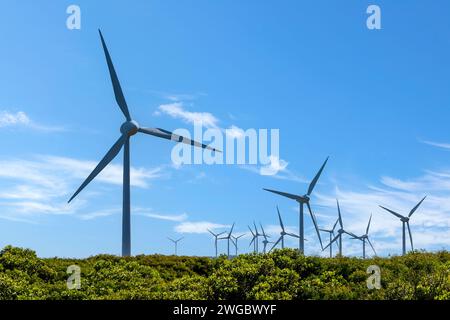 Éoliennes sur un parc éolien côtier, Albany, Australie occidentale, Australie Banque D'Images